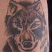 Tattoos - Winking Wolf - 69841